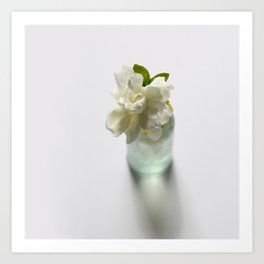 White Gardenia in Aqua Blue Vase Art Print