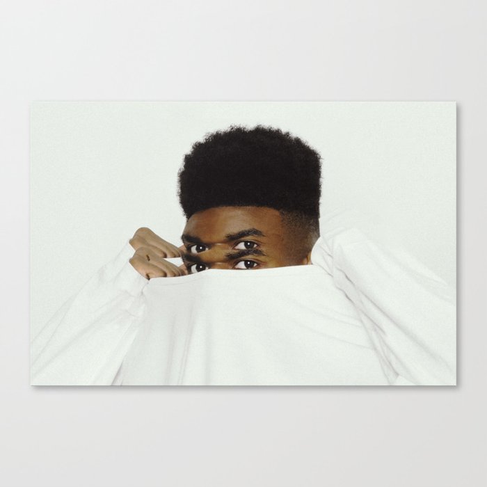 Seeing Double Canvas Print