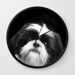 Shih Tzu Dog Wall Clock