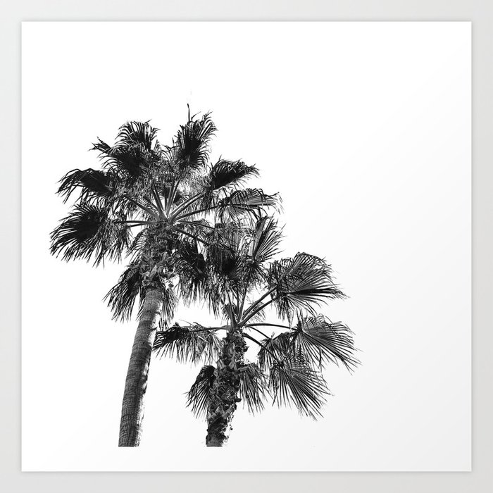 bw photography bw palm tree print tropical wall art bw palmtree bw tropical print tropical decor black and white print palm tree art