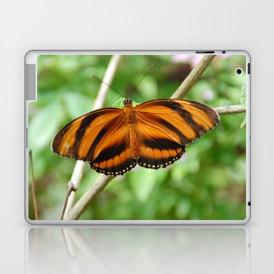 Mexico Photography - Beautiful Orange Butterfly With Black Stripes Laptop & iPad Skin