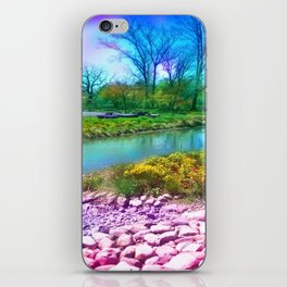 Colorful Scenic Nature of Springtime iPhone Skin