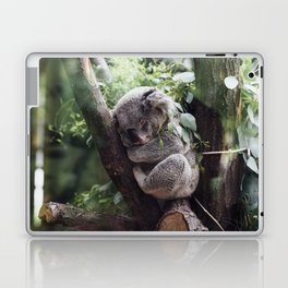 Koala Bear Asleep Laptop & iPad Skin