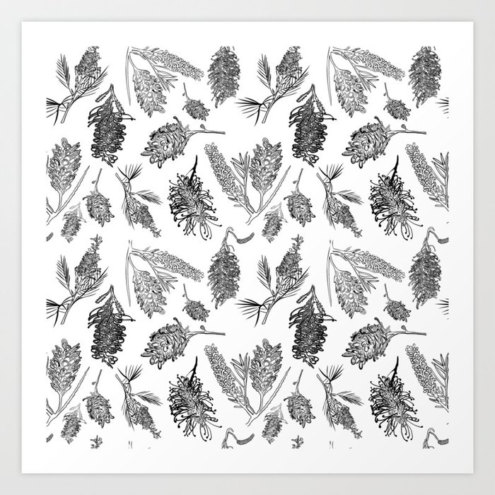 Black And White Australian Native Flowers Art Print By Annaleebeer