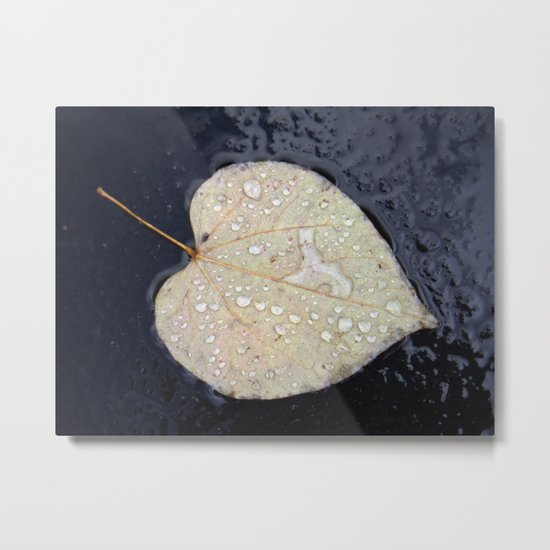 A Leaf in the Rain Metal Print