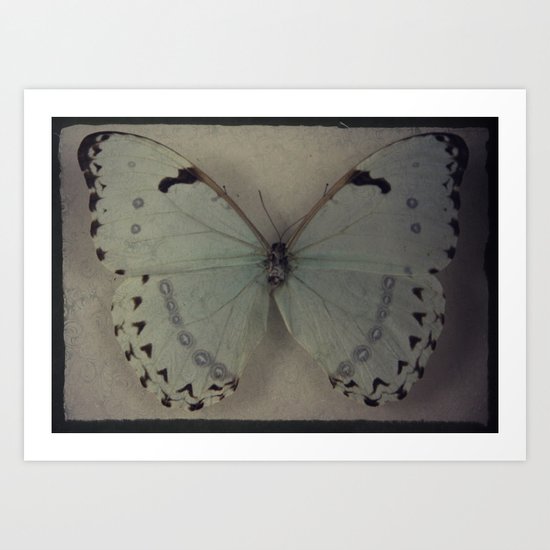 Papillon _ Vintage Flutter Art Print
