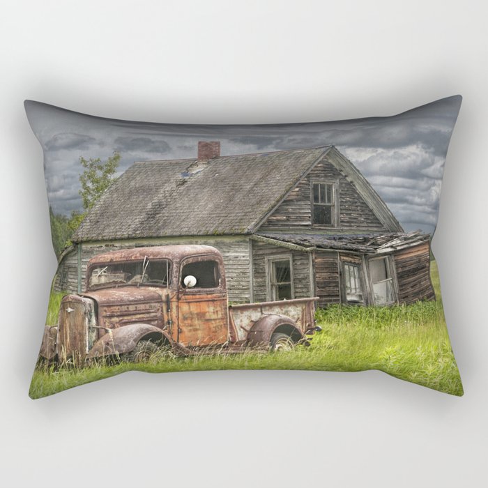 Vintage sales house pillows