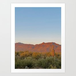 desert dreaming Art Print