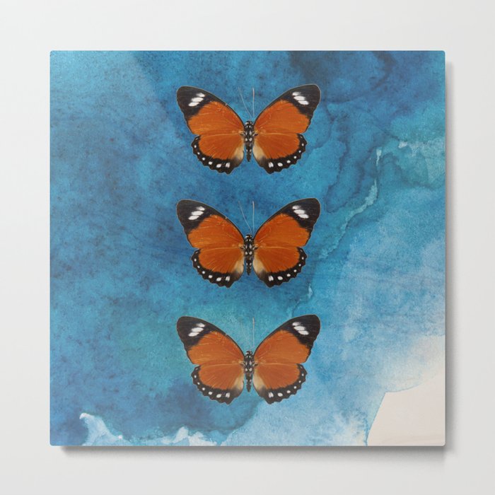 butterfly Metal Print