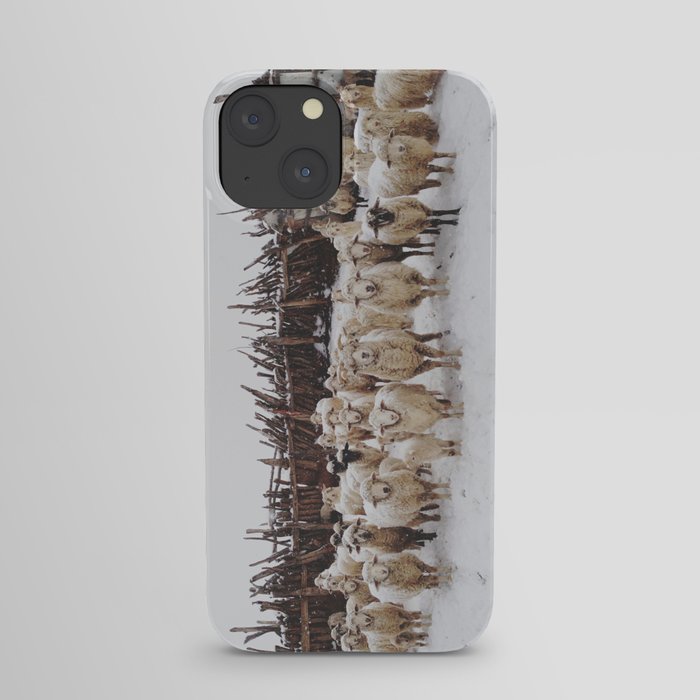 Snowy Sheep Stare iPhone Case