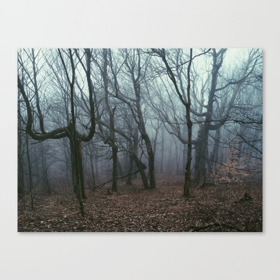Foggy Max Patch Woods Canvas Print