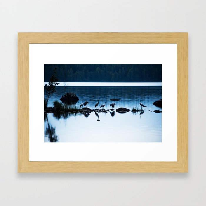 Beautiful Cranes by The Lake - Landscape in Blue hour #decor #society6 #buyart Framed Art Print