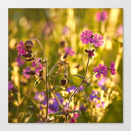 Summer Dream Canvas Print