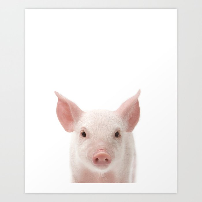 Baby Pig, Farm Animals, Art for Kids, Baby Animals Art Print By Synplus Art Print