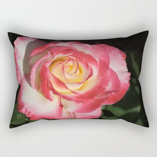 Multi-Hued Rose Rectangular Pillow