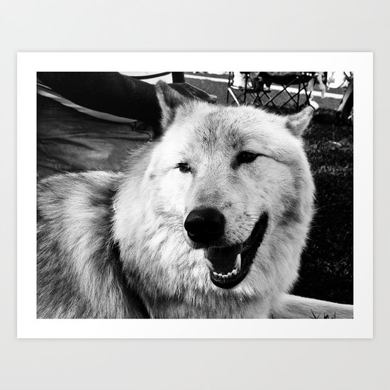 Wolf Dog Art Print