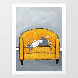 Grey Cat on Yellow Chair 1 Art Print