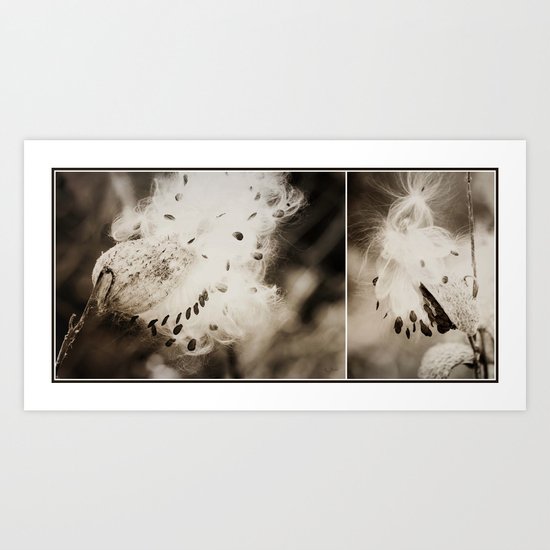 Whispers in the Wind Art Print