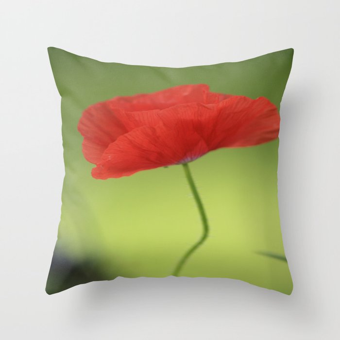 Poppy Love Red Poppy Flower #decor #society6 #buyart Throw Pillow