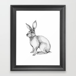 Rabbit Framed Art Print