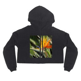 Bird of Paradise Flower Hoody