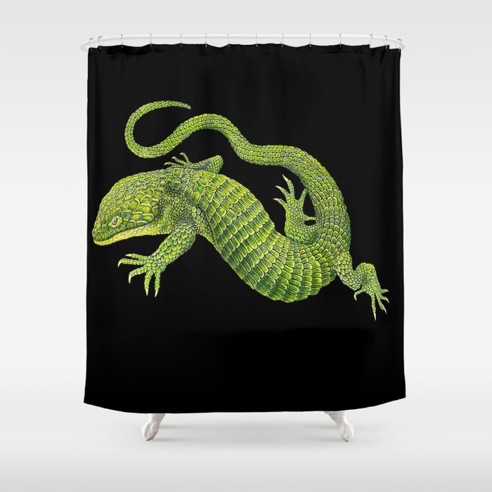 Mexican alligator lizard Shower Curtain