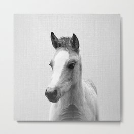 Baby Horse - Black & White Metal Print