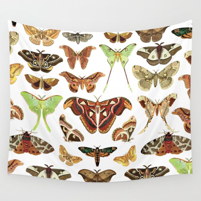 Moths Wall Tapestry