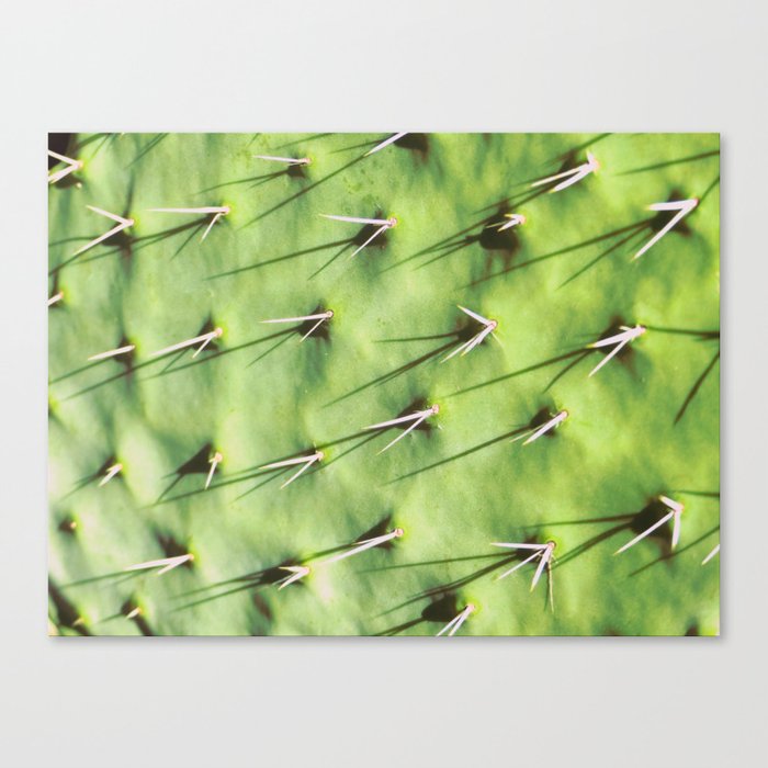 Cactus Verde Canvas Print
