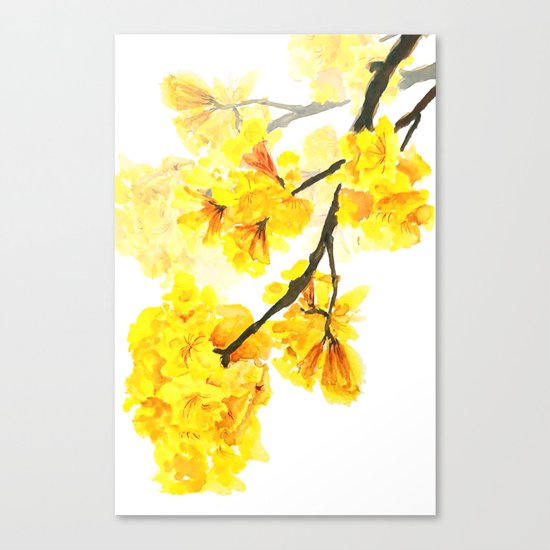 yellow trumpet trees watercolor yellow roble flowers yellow Tabebuia Canvas Print