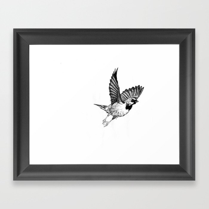 Fleeing Sparrow Framed Art Print