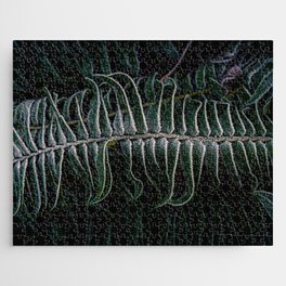 Deep green bracken frond with frost Jigsaw Puzzle