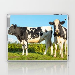 Two Black White Cows Frisian Holstein 75 Laptop Skin