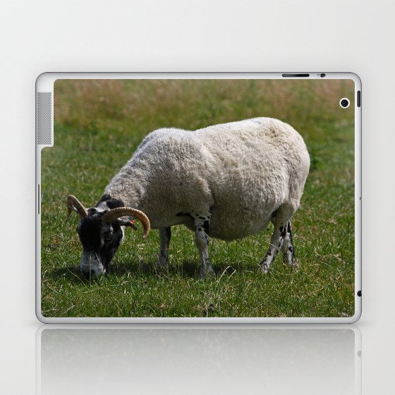 Sheep Baaaaa... Laptop & iPad Skin