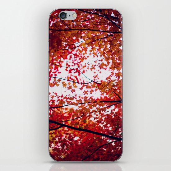 up in the trees you'll find peace iPhone & iPod Skin