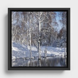 Snow Laden Birch Trees By a Scottish Highlands Lochan  Framed Canvas