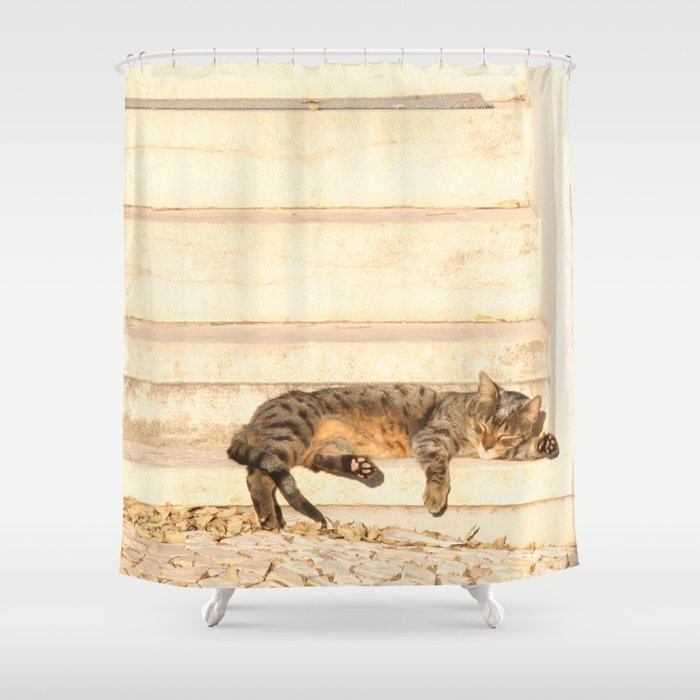 The sun shines on all cats equally Shower Curtain