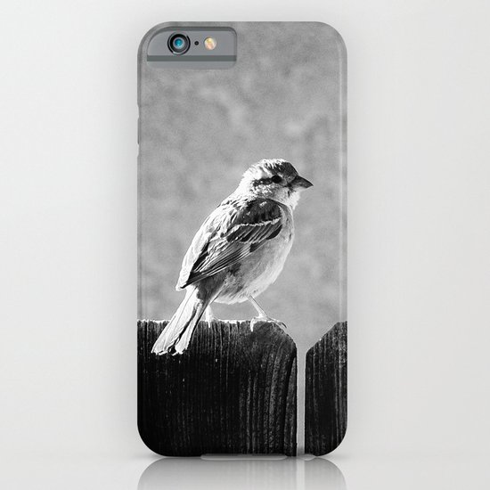 Sparrow BW iPhone & iPod Case