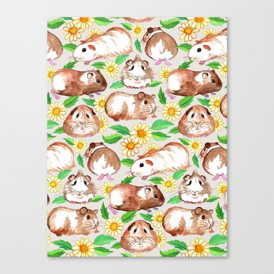 Guinea Pigs and Daisies in Watercolor Canvas Print