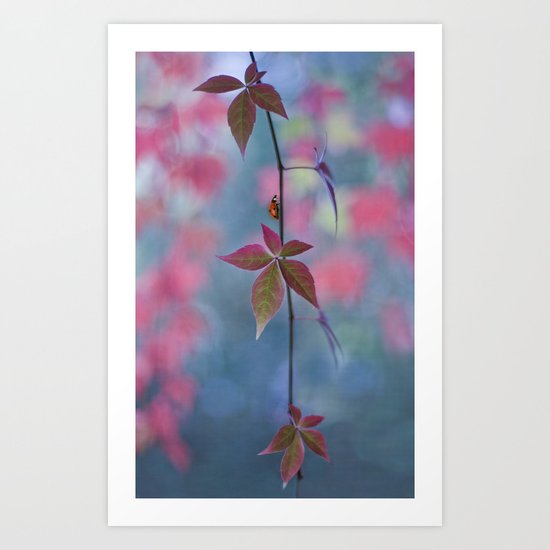 Just a beautiful day Art Print