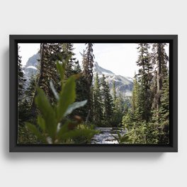 Into the Wild while in Whistler Canada Framed Canvas