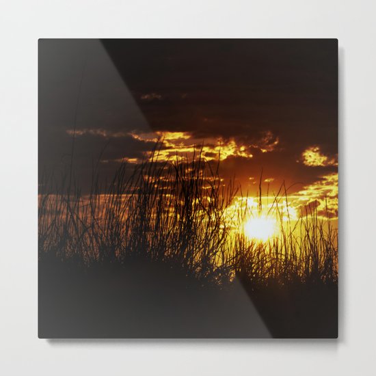 golden hour Metal Print