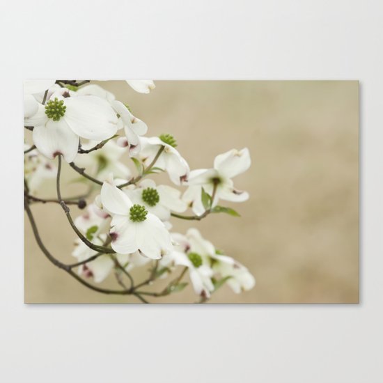 Say Yes Canvas Print