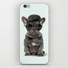 Fashion Dog iPhone Skin
