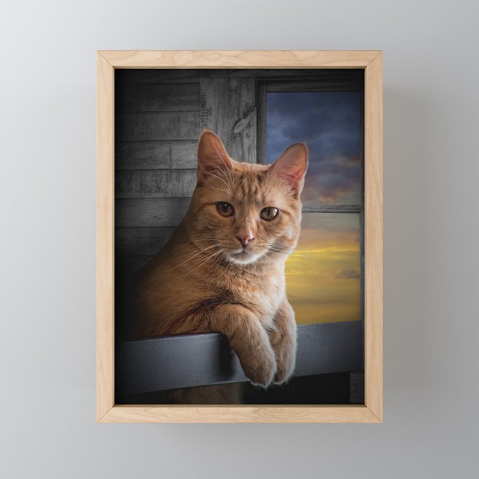 You looking at me, says the Cat Framed Mini Art Print