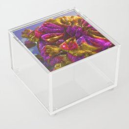 Mandelbulb 1 Acrylic Box