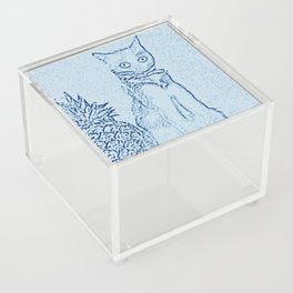 The Cat and the Pineapple - in Blue Acrylic Box