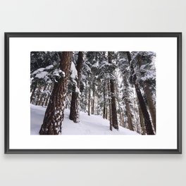 Snowy forest Framed Art Print