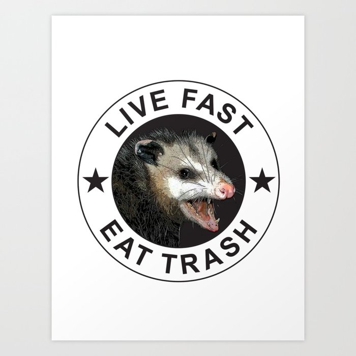 Live Fast Eat Trash - Possum Art Print