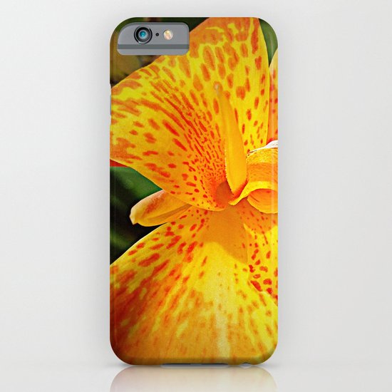 'TIGER TIGER' iPhone & iPod Case